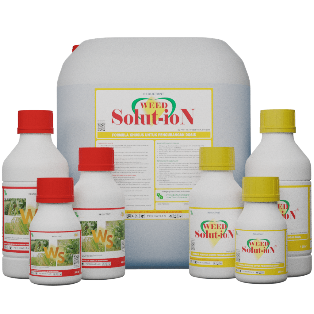 Weed Solut-ion