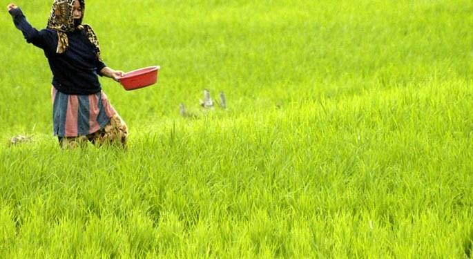 PT Terra Agro Yields Dorong Industri Pertanian Berkelanjutan Dan Ramah Lingkungan