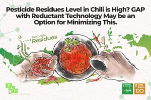 Pesticide Residue Level in Chili is high GAP (Good Agricultural Practice) with Reductant Technology may be an option for minimizing this.